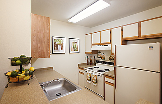 Property Photo 27025 - 